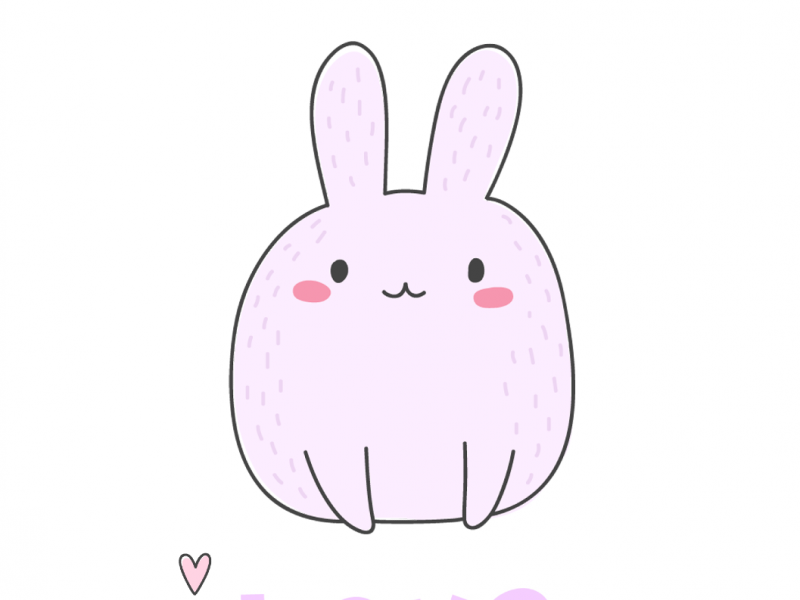 bunny